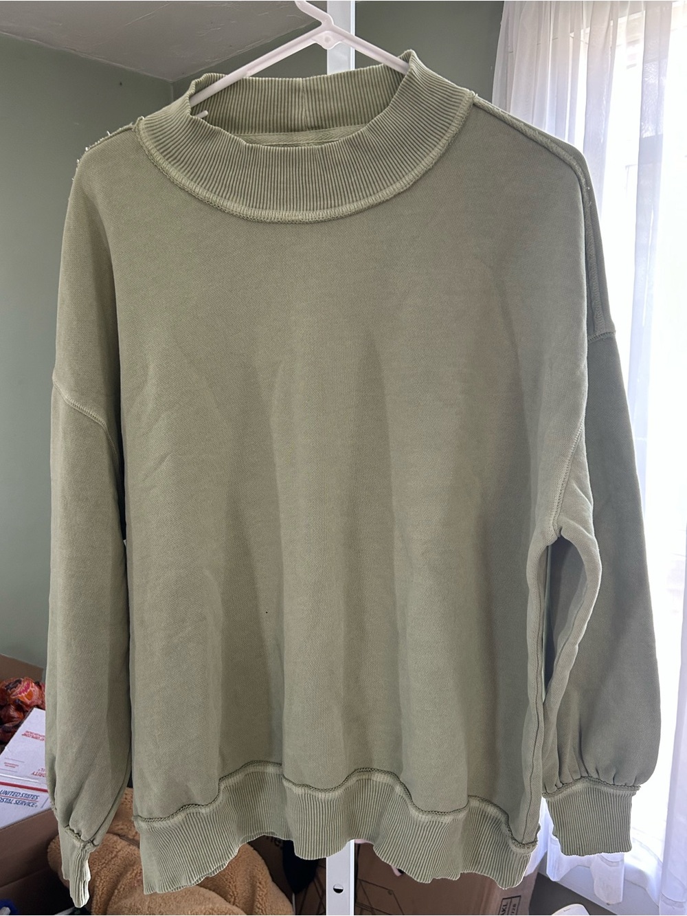 WE THE FREE Palm Springs Pullover in a Sage Green Color